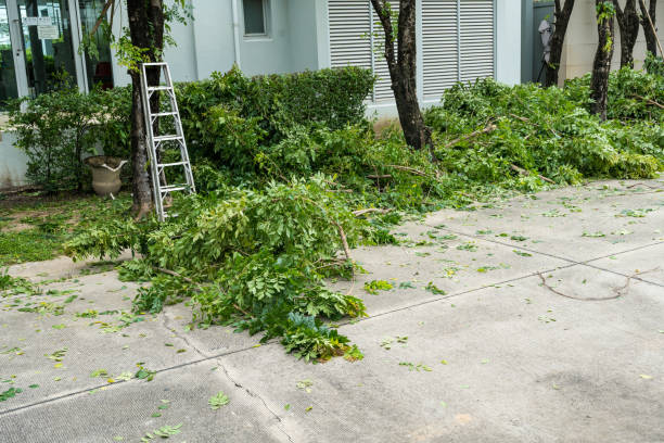 Best Tree and Shrub Care  in Chena Ridge, AK